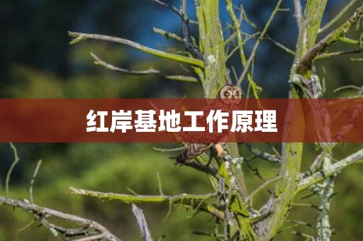 红岸基地工作原理