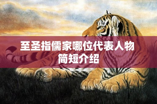 至圣指儒家哪位代表人物 简短介绍