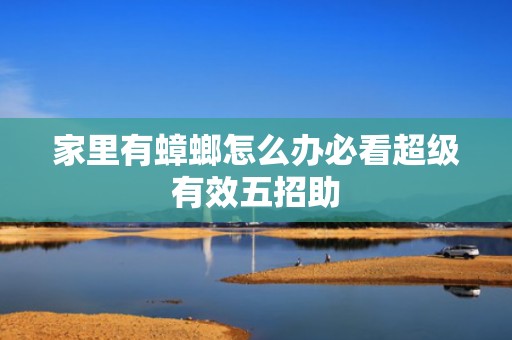 家里有蟑螂怎么办必看超级有效五招助