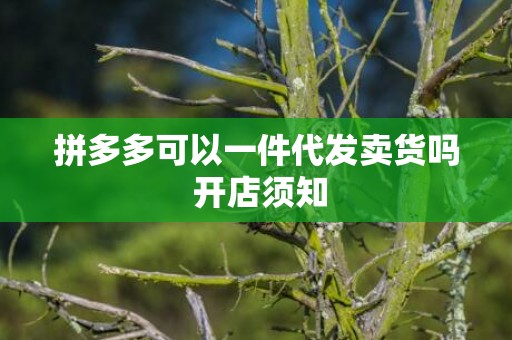 拼多多可以一件代发卖货吗 开店须知