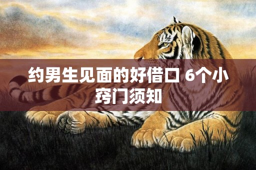 约男生见面的好借口 6个小窍门须知