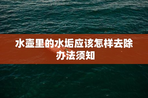 水壶里的水垢应该怎样去除 办法须知