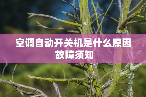 空调自动开关机是什么原因 故障须知