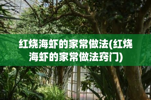 红烧海虾的家常做法(红烧海虾的家常做法窍门)