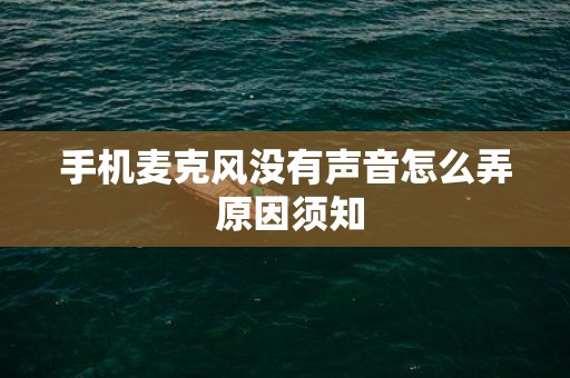 手机麦克风没有声音怎么弄 原因须知