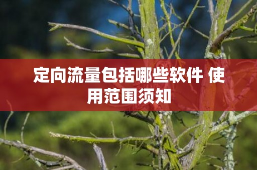定向流量包括哪些软件 使用范围须知