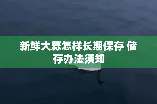 新鲜大蒜怎样长期保存 储存办法须知