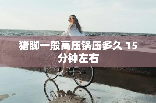 猪脚一般高压锅压多久 15分钟左右