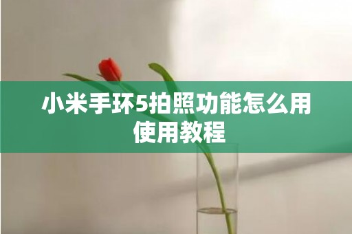 小米手环5拍照功能怎么用 使用教程