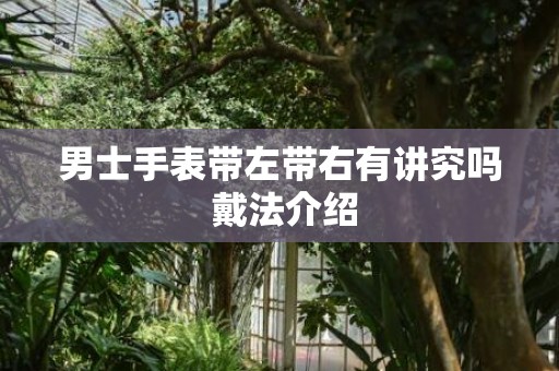 男士手表带左带右有讲究吗 戴法介绍