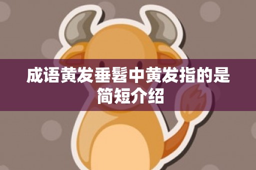 成语黄发垂髫中黄发指的是 简短介绍