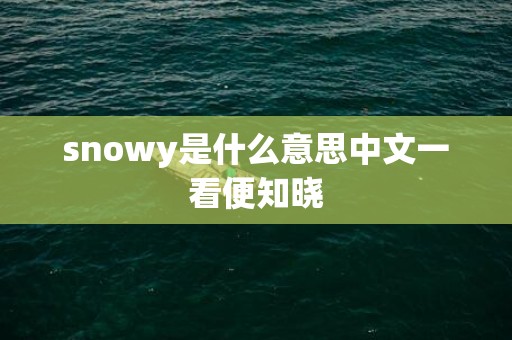 snowy是什么意思中文一看便知晓