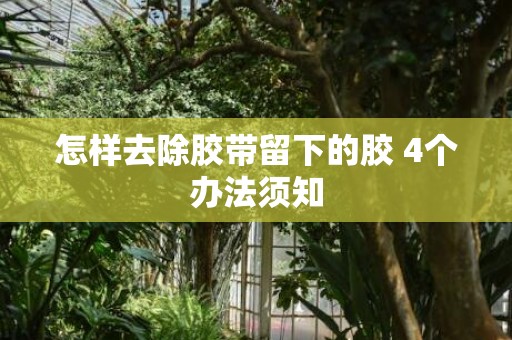 怎样去除胶带留下的胶 4个办法须知