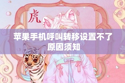 苹果手机呼叫转移设置不了 原因须知