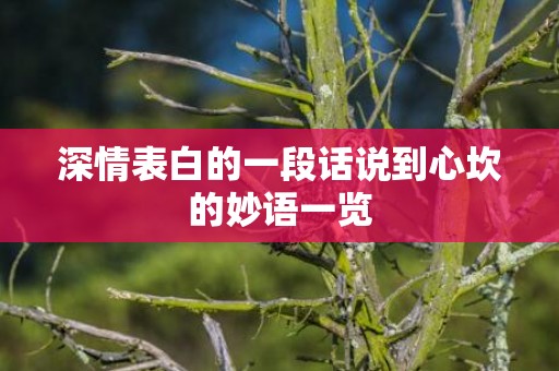深情表白的一段话说到心坎的妙语一览