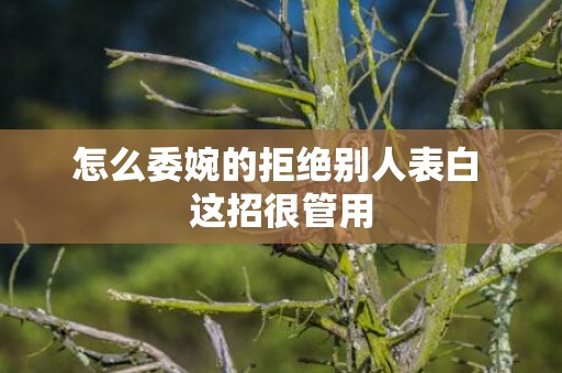 怎么委婉的拒绝别人表白 这招很管用