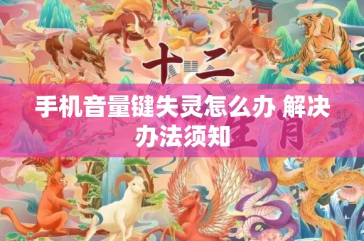 手机音量键失灵怎么办 解决办法须知