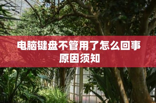 电脑键盘不管用了怎么回事 原因须知