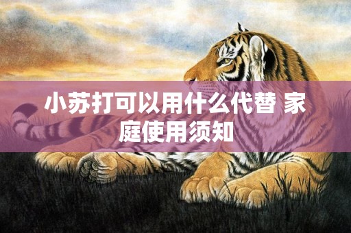 小苏打可以用什么代替 家庭使用须知