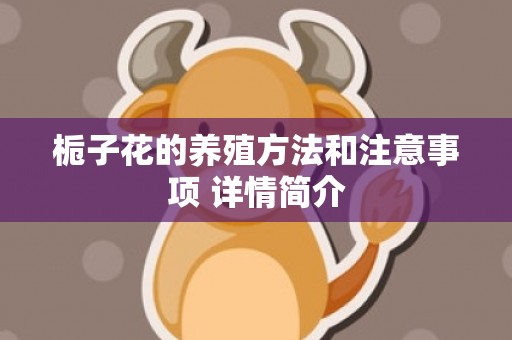 栀子花的养殖方法和注意事项 详情简介