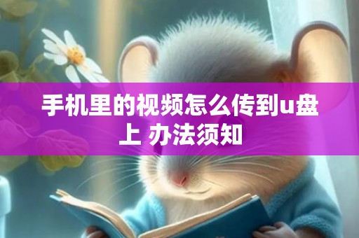 手机里的视频怎么传到u盘上 办法须知