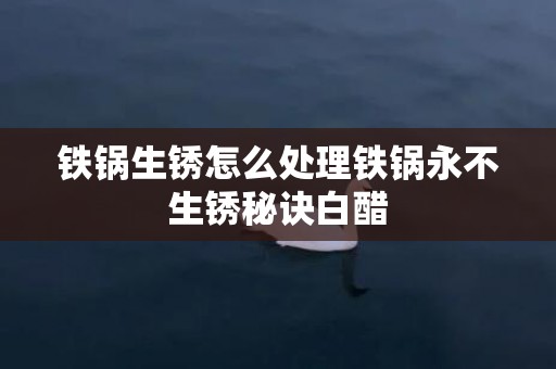 铁锅生锈怎么处理铁锅永不生锈秘诀白醋
