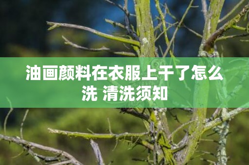 油画颜料在衣服上干了怎么洗 清洗须知