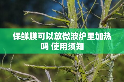保鲜膜可以放微波炉里加热吗 使用须知