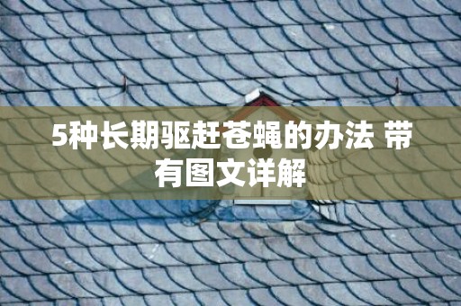 5种长期驱赶苍蝇的办法 带有图文详解