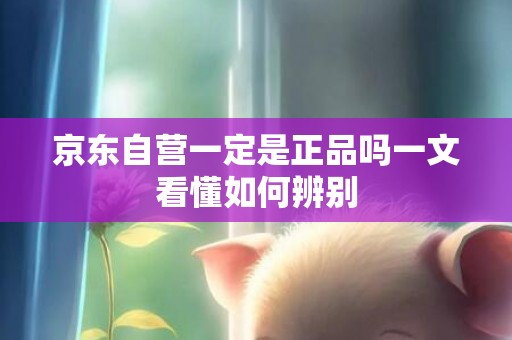 京东自营一定是正品吗一文看懂如何辨别