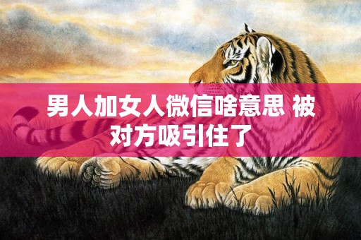 男人加女人微信啥意思 被对方吸引住了