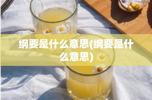 纲要是什么意思(纲要是什么意思)
