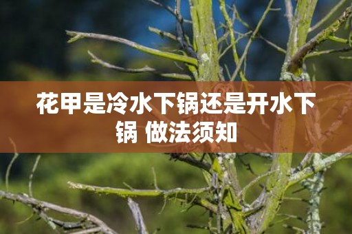 花甲是冷水下锅还是开水下锅 做法须知