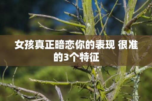 女孩真正暗恋你的表现 很准的3个特征