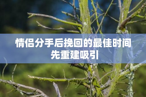 情侣分手后挽回的最佳时间 先重建吸引