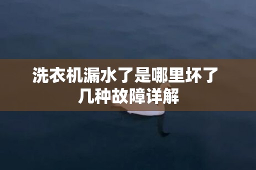 洗衣机漏水了是哪里坏了 几种故障详解