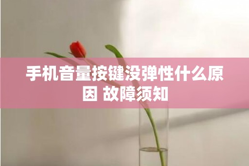 手机音量按键没弹性什么原因 故障须知