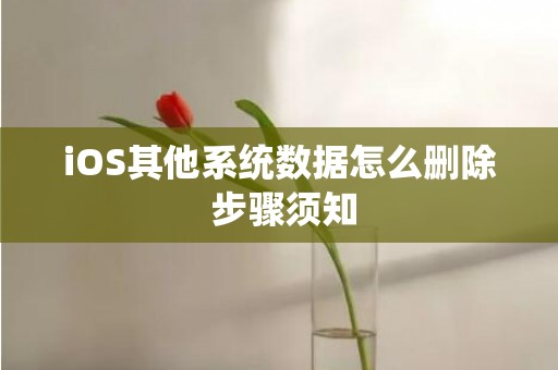 iOS其他系统数据怎么删除 步骤须知