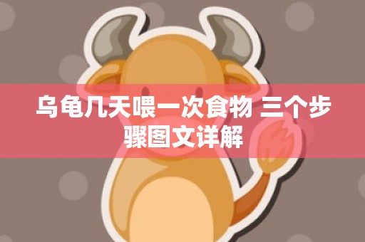 乌龟几天喂一次食物 三个步骤图文详解