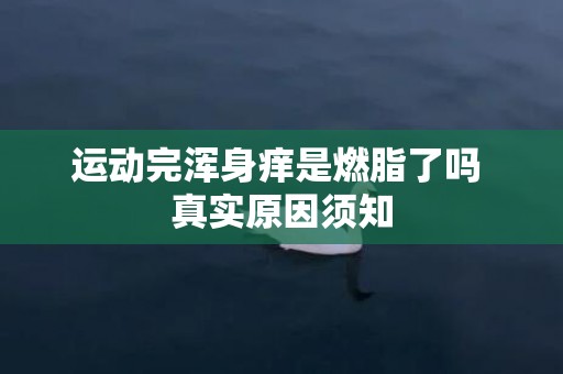 运动完浑身痒是燃脂了吗 真实原因须知