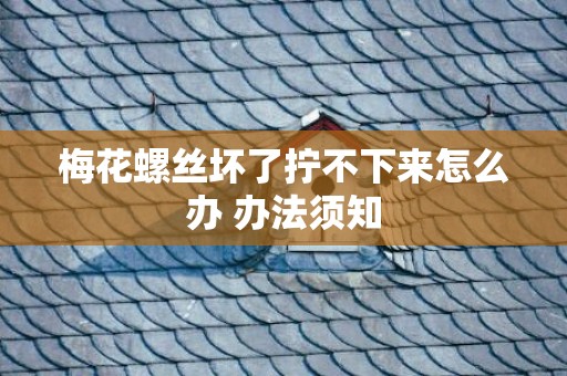 梅花螺丝坏了拧不下来怎么办 办法须知