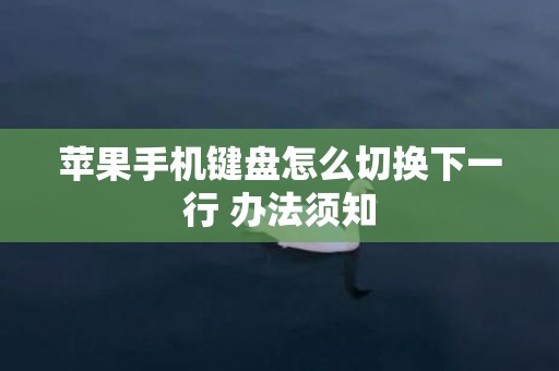 苹果手机键盘怎么切换下一行 办法须知