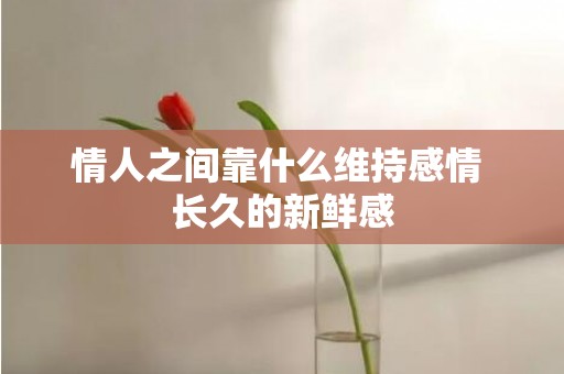 情人之间靠什么维持感情 长久的新鲜感