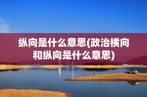 纵向是什么意思(政治横向和纵向是什么意思)