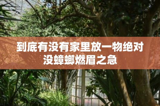 到底有没有家里放一物绝对没蟑螂燃眉之急