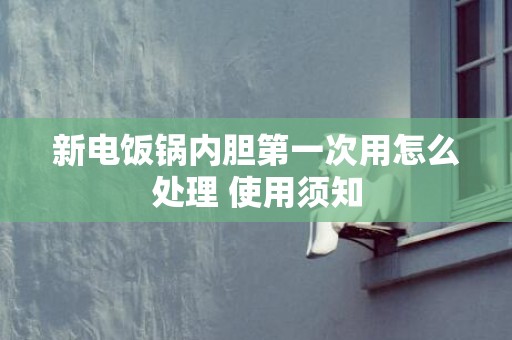 新电饭锅内胆第一次用怎么处理 使用须知