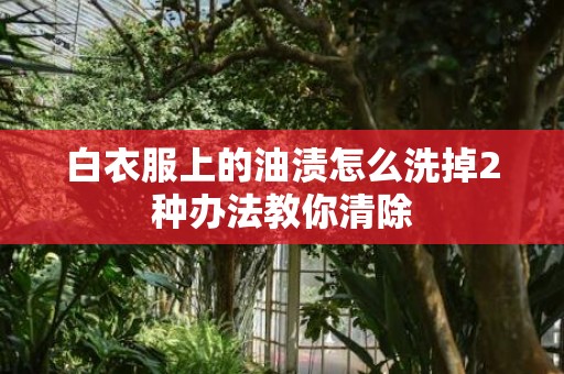 白衣服上的油渍怎么洗掉2种办法教你清除