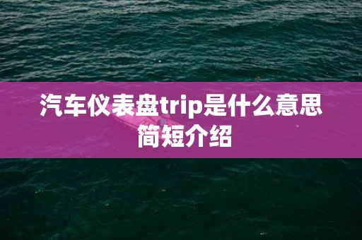 汽车仪表盘trip是什么意思 简短介绍