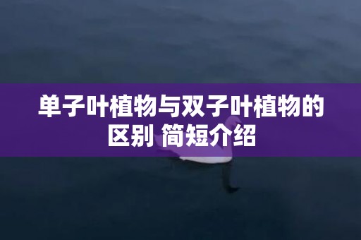单子叶植物与双子叶植物的区别 简短介绍