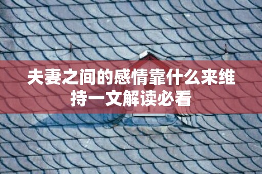 夫妻之间的感情靠什么来维持一文解读必看